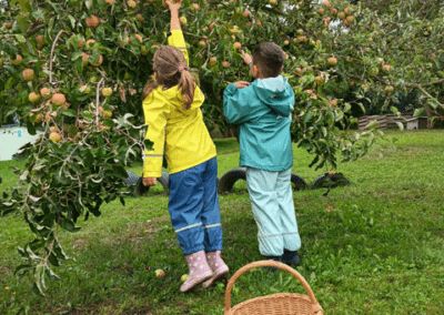 Apfelernte in unserem Kinderland Pausa