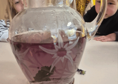 Experiment mit Malve in der Kita Am Bärenstein