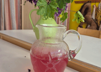 Experiment mit Malve in der Kita Am Bärenstein