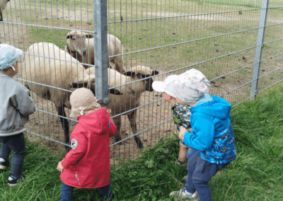Ausflug der Krippenkinder aus dem Kinderland Pausa ins Tiergehege Pausa