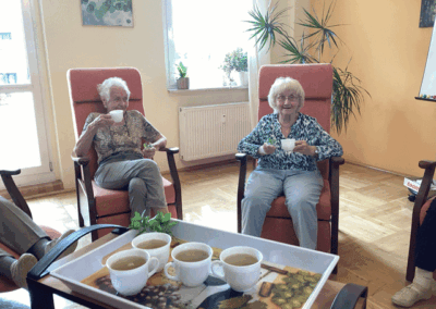 Pfefferminze - selbst gemachter Tee