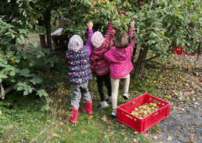 Apfelernte in der Kita "Friesenzwerge"
