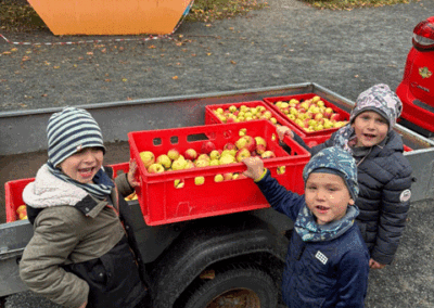 Apfelernte in der Kita "Friesenzwerge"