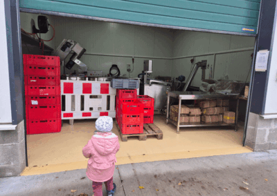 Apfelernte in der Kita "Friesenzwerge"