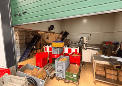 Apfelernte in der Kita "Friesenzwerge"