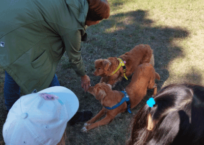 Projekt "Hunde" in der Kita "Pfiffikus"