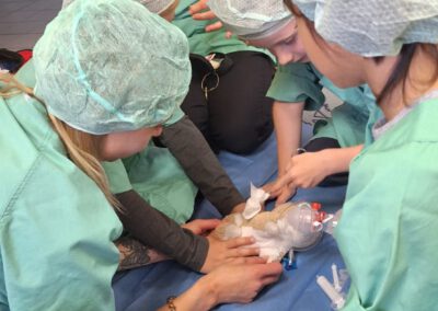 Projekt "Teddybärkrankenhaus" in der Kita "Pfiffikus"