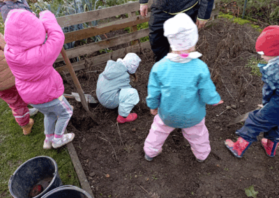 Kartoffelprojekt in der Kita "Sonnenschein"