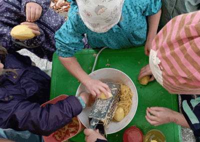 Kartoffelprojekt in der Kita "Sonnenschein"