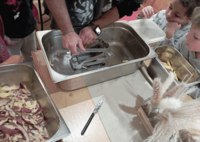 Kartoffelprojekt in der Kita "Sonnenschein"