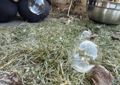 Kinderland Pausa - Winterexperimente