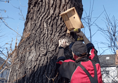 Kita Friesenzwerge - Nistkasten