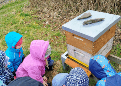 Kinderland Pausa - Besuch beim Imker
